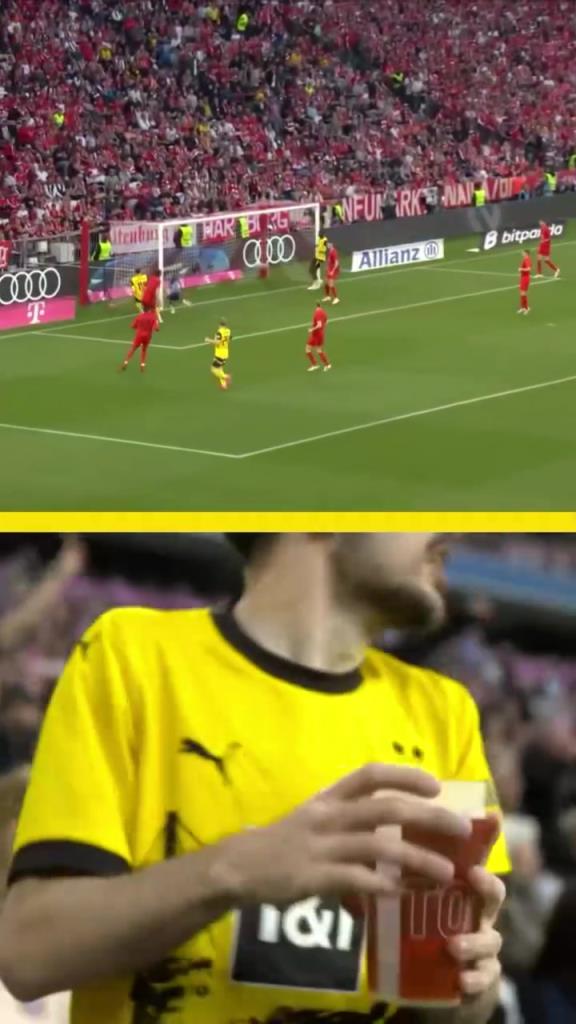 勇者無(wú)懼！這是真多特球迷！在拜仁球迷區(qū)一個(gè)人肆意慶祝！